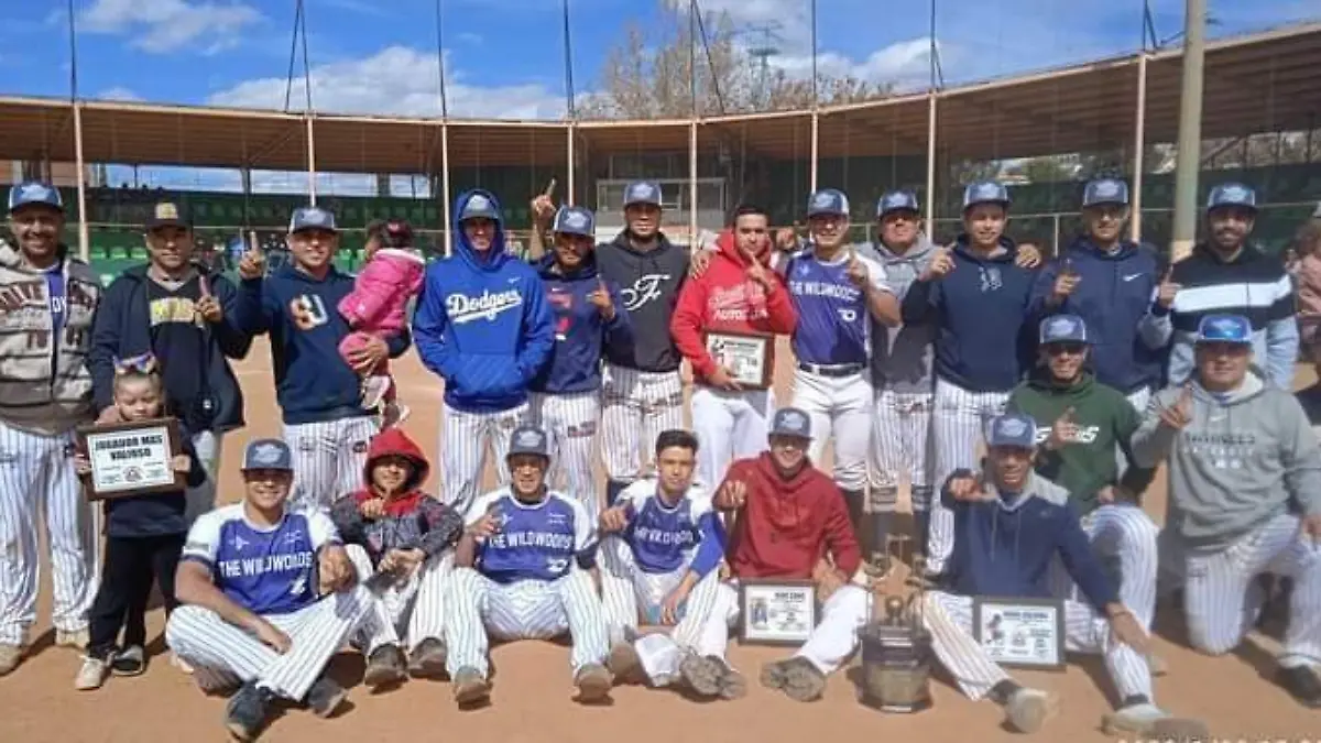 campeones liga de beisbol invernal